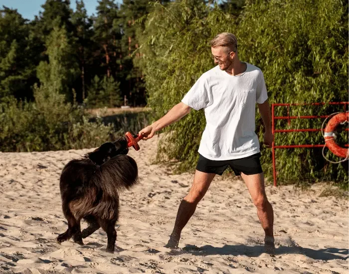 Ring et Sport Canin street dog